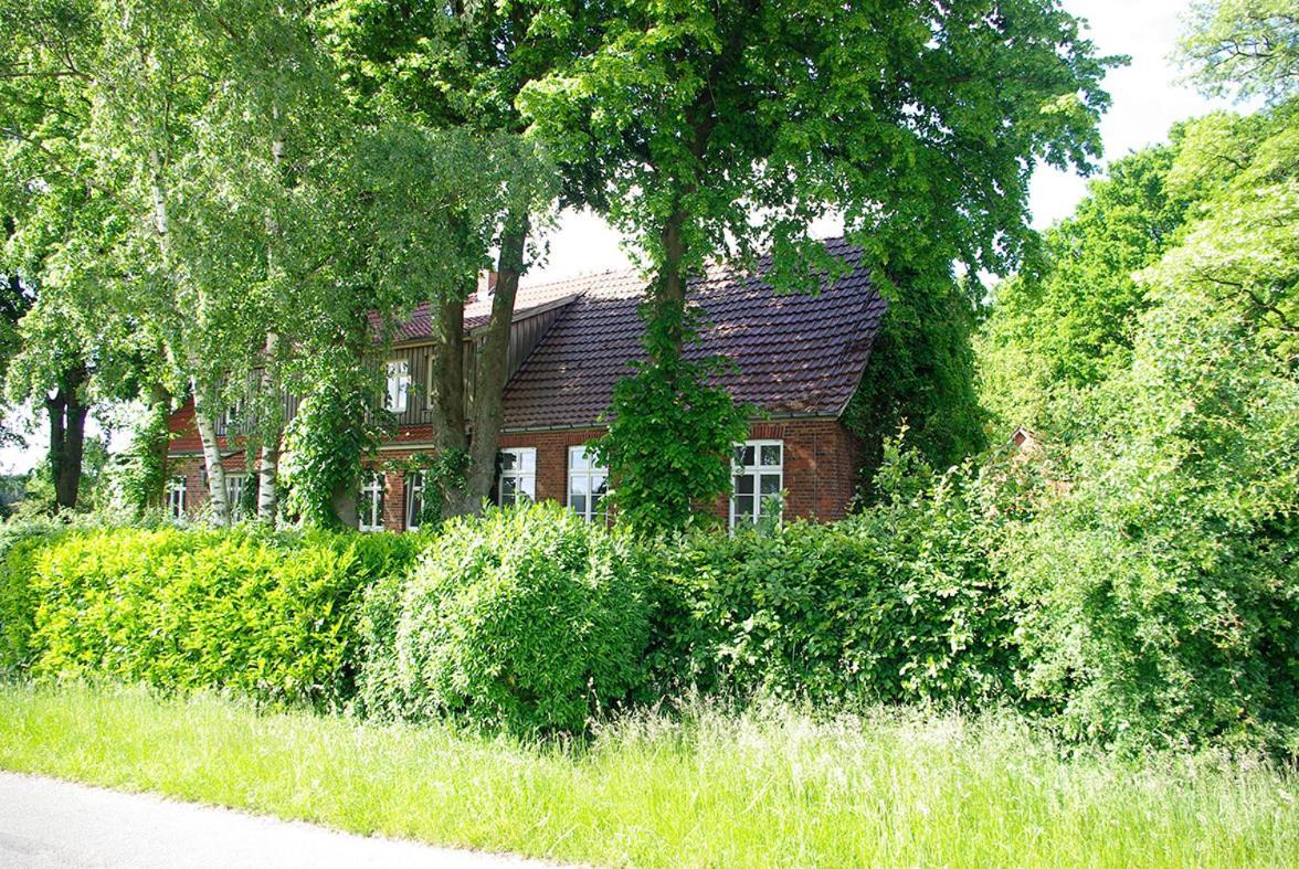 Alte Schule Osteroden Lägenhet Merzen Exteriör bild